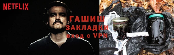 СК Зерноград