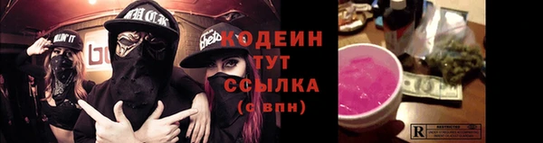 СК Зерноград