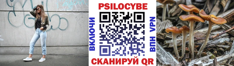 Псилоцибиновые грибы мицелий  Купить где  Горячий Ключ 